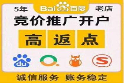 探究某某SEM公司如何通过精准投放实现销售增长